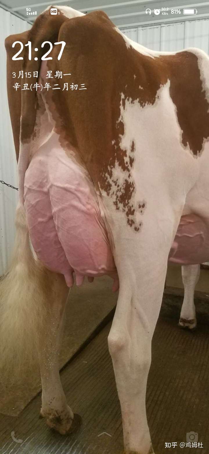 女生会怎么看待用这种壁纸的我.会觉得恶心吗? - 知乎