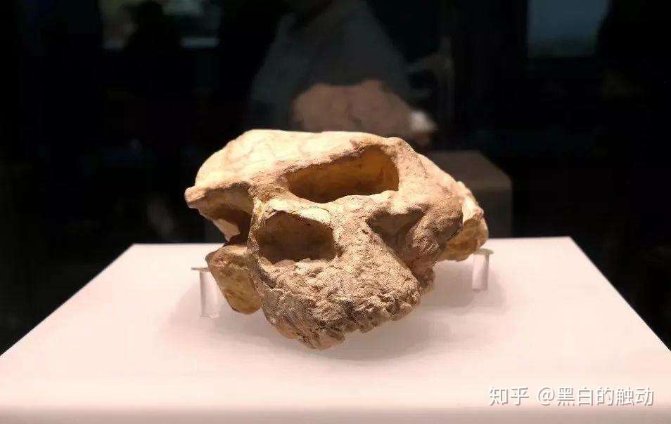 文艺武汉 徜徉在博物美术 游走于厚重先锋 知乎