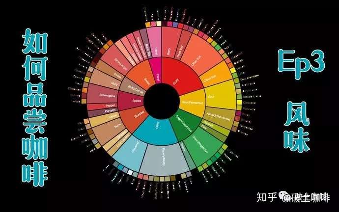 什么是咖啡风味轮 知乎