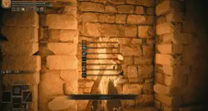 你在游戏《艾尔登法环》中见过的最丧心病狂的操作是什么？