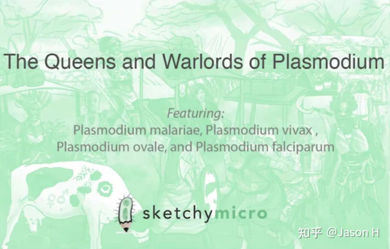 plasmodium sketchy micro