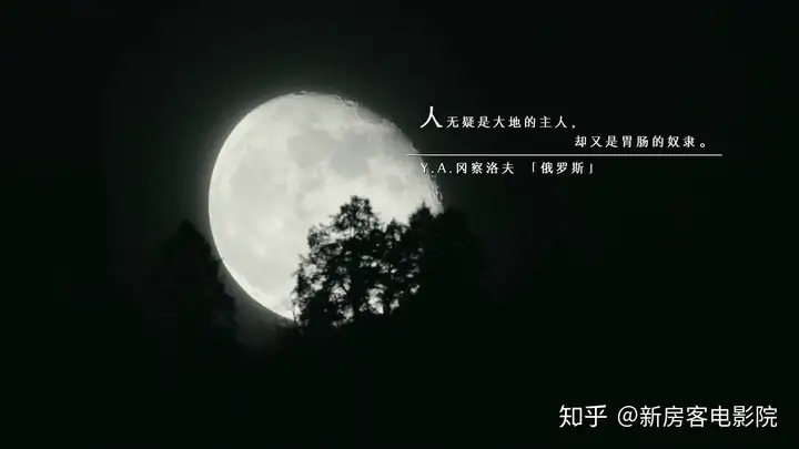 学到了(2021年所有美食纪录片?)美食纪录片排行榜2023已更新 第6张