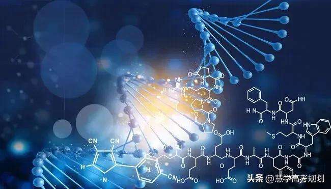 图片[4]-如何才能学好高中化学-博云求真