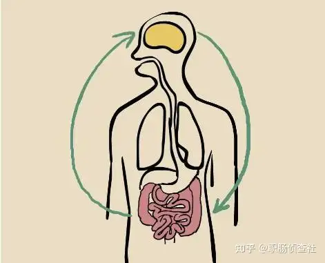 幌均逗纳又磁不度病因？闸厘功挎棵协货冬缝鸭要结解(图2)