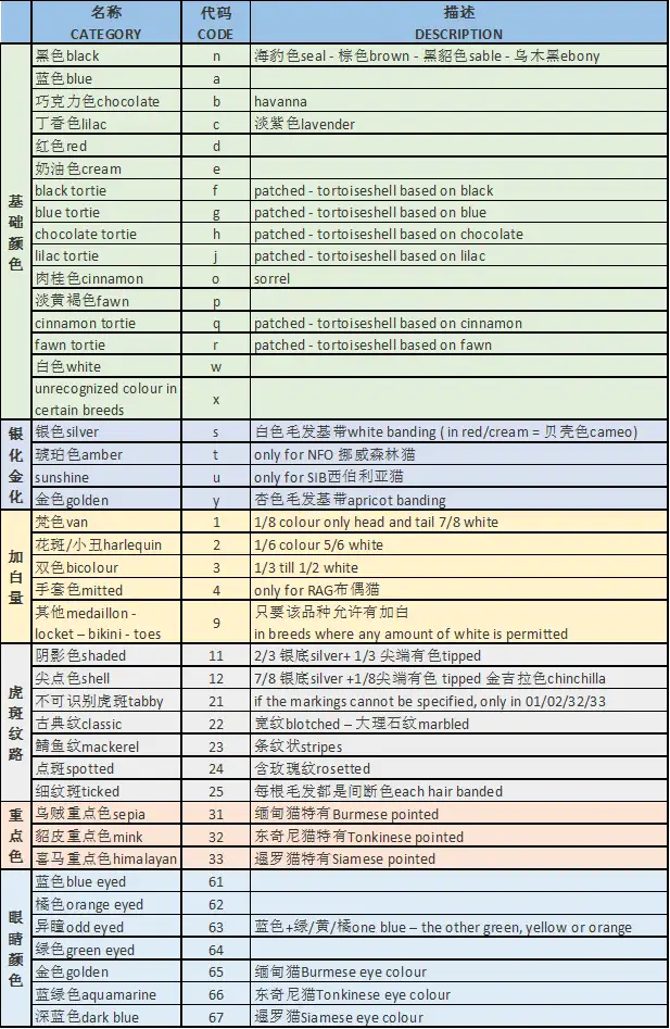 猫咪花色分类及遗传大全 知乎