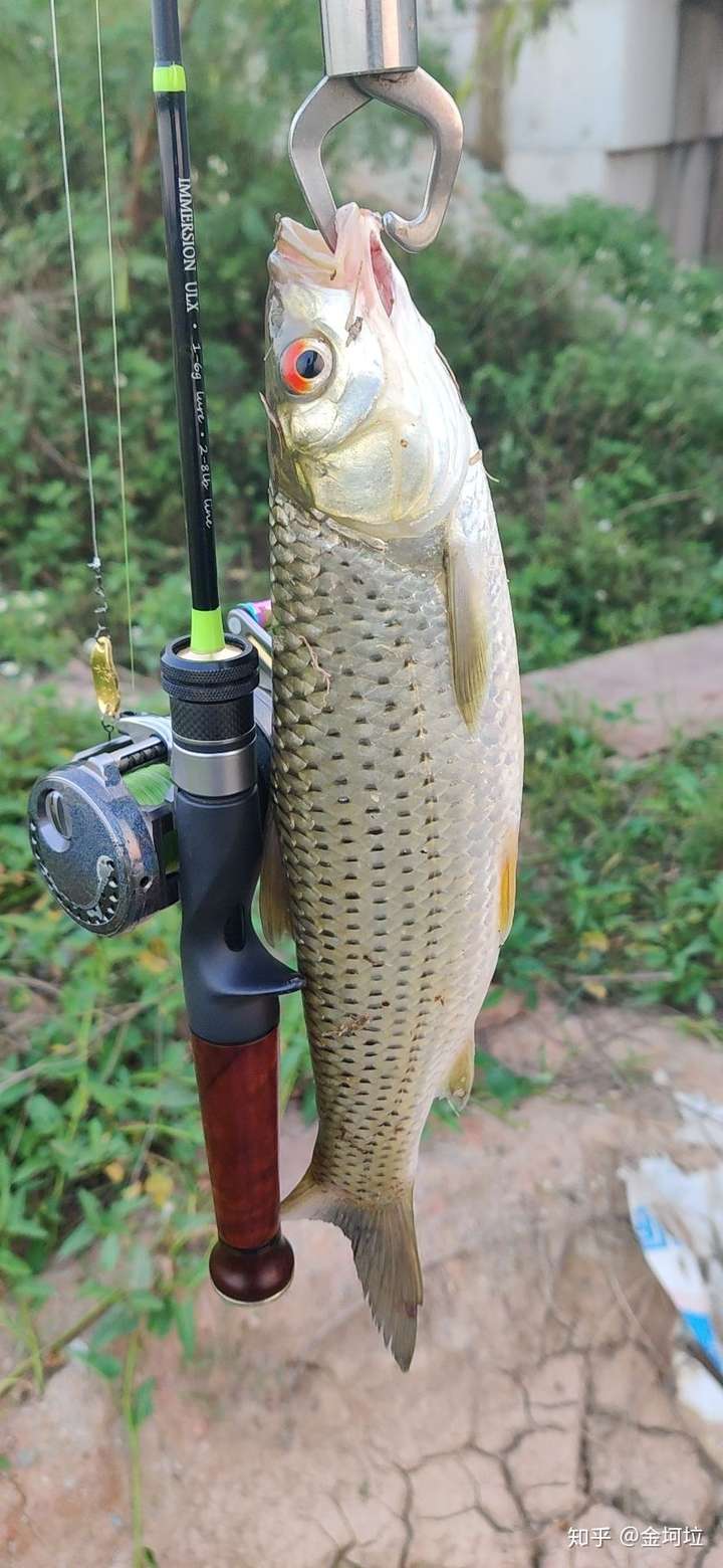 路亚红眼用什么竿好?