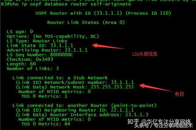 Ospf报文 Spf算法 邻居关系建立及排错 理论 实战 知乎