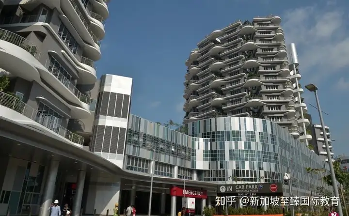 出国留学(图4)