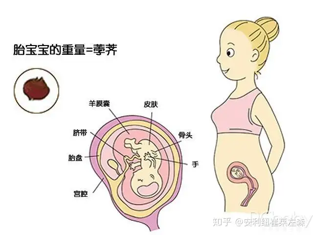 一看就会(安利纽崔莱孕妇套餐)安利纽崔莱对胎儿好么2023已更新(本地资讯)-第5张图片-鲸幼网