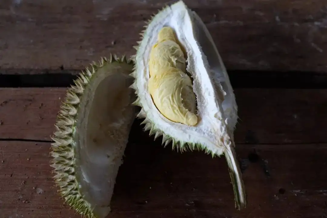 榴莲庄园的果树下 我才知道什么是梦幻般的滋味 知乎