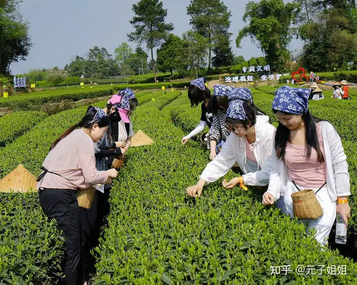五四青年节有哪些活动推荐？
