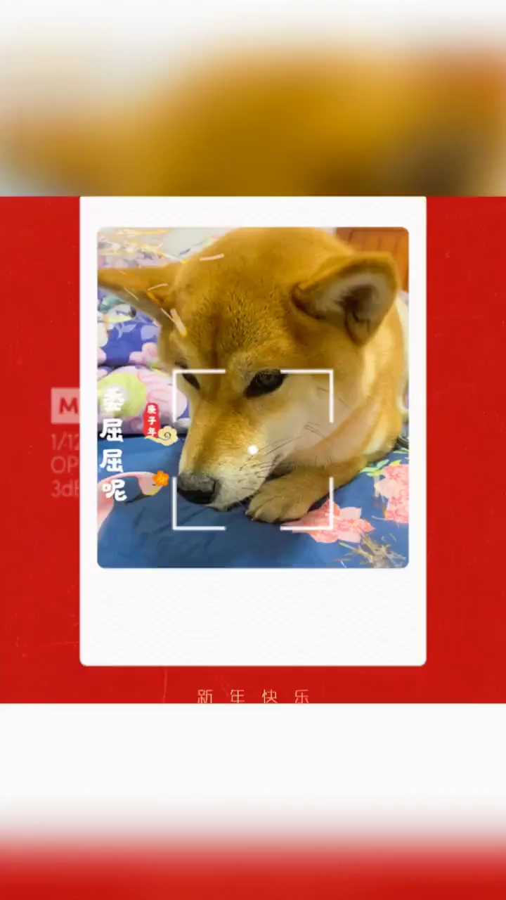 v2-ccd11031d9b7428adf97b15410fe6f6d_bh.jpg?source=1940ef5c