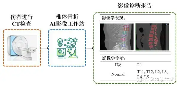 予約受付中】 脊椎対照機能的診断法 growthcenter.icontinental.edu.pe