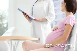 26周胎动次数多少正常 知乎