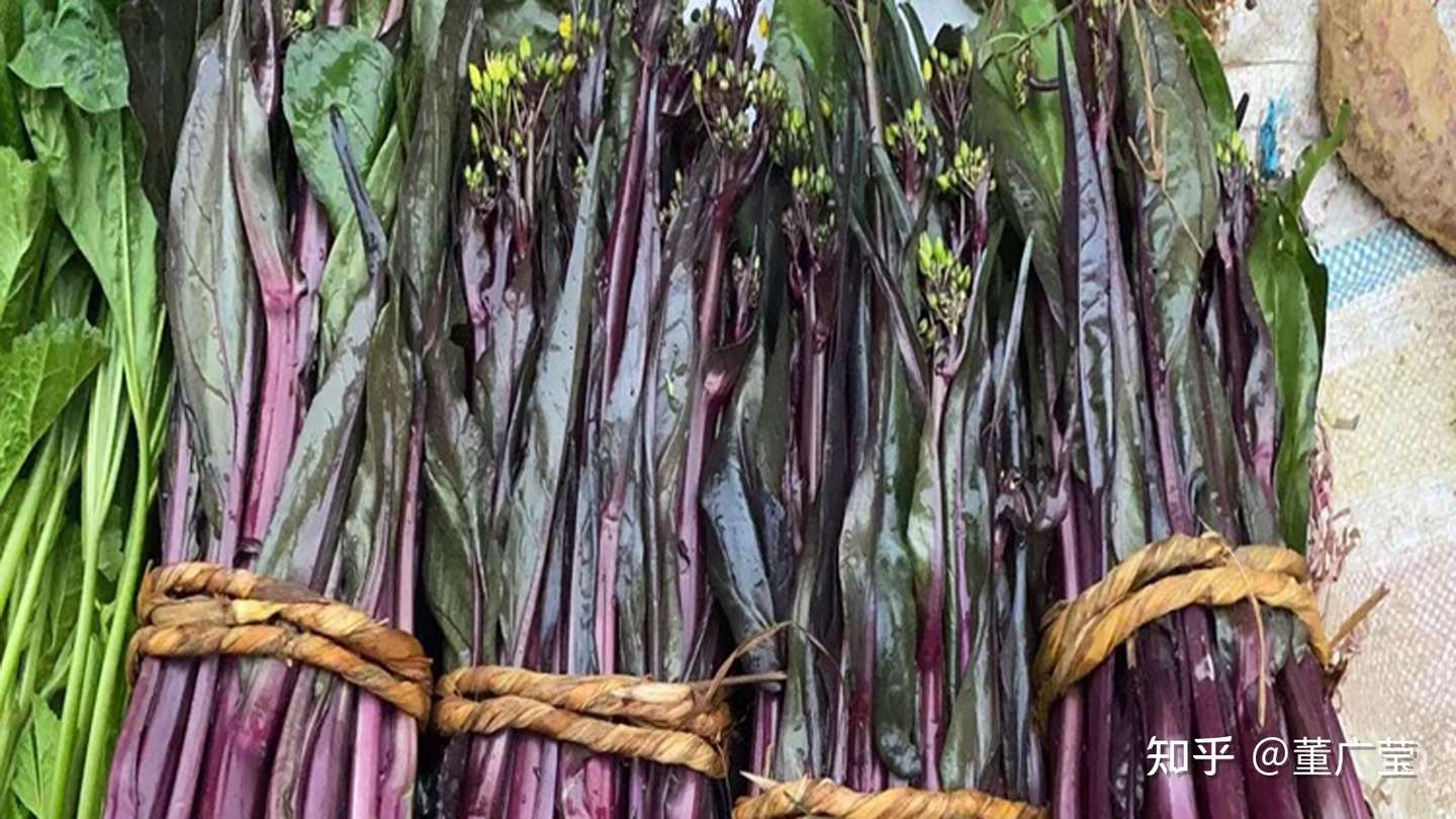 还不知道这35种紫色蔬菜你太亏了 富含花青素 营养又美味 赶紧选几种趁着过年大显身手吧 过个健康年 知乎
