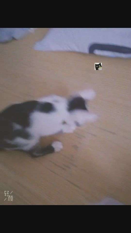 v2-cec3403f8662efab1da78f351804a0a0_bh.jpg?source=1940ef5c