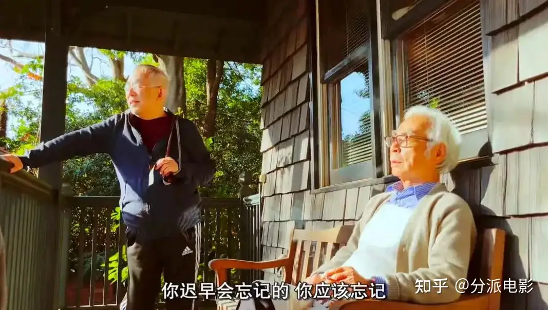 《宫崎骏与苍鹭》宫崎骏给的一封遗书,也是情书!