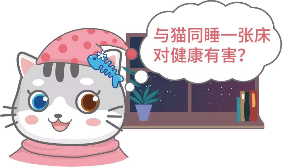 跟猫睡了一觉后感染了弓形虫？ - 知乎