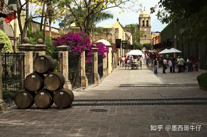 不可错过的三条墨西哥美景公路 - 墨华网 (图8)