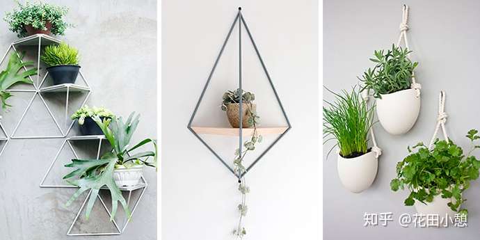 送你10款壁挂式植物花器 知乎