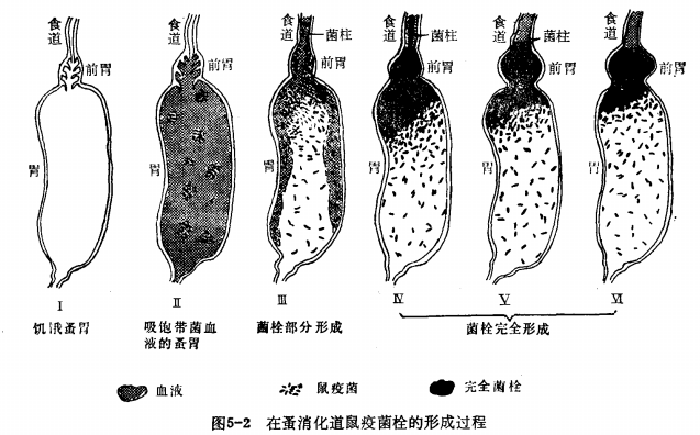 同人 抉择 29 严阵以待 二 知乎