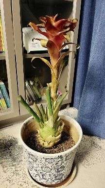 v2-d1b037b897a314d176656ed0afaa5215_720w.jpg?source=1940ef5c