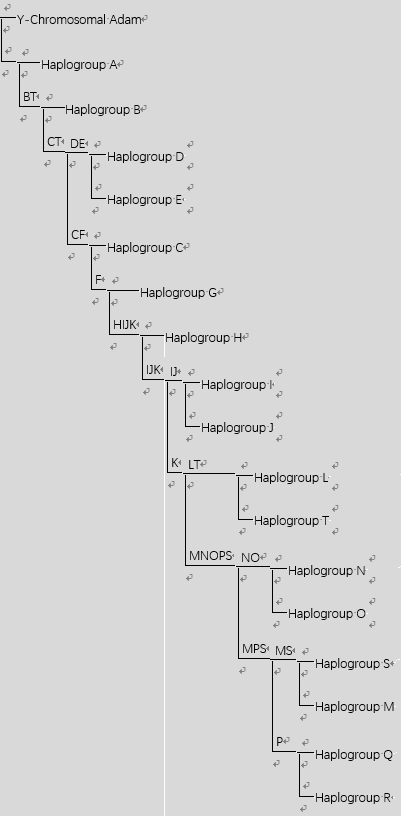 1,y-dna单倍群