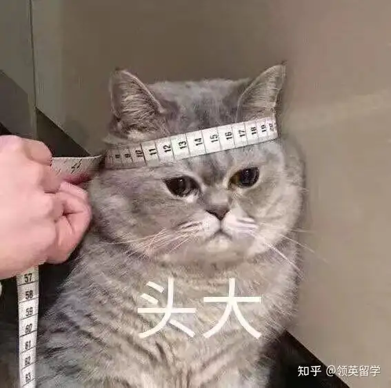 留学生活速成之日常用语缩写篇-留学生简称怎么说