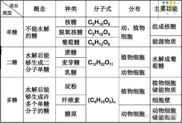 名师梳理 高中生物必修一知识点总结 新学期教学必备 知乎