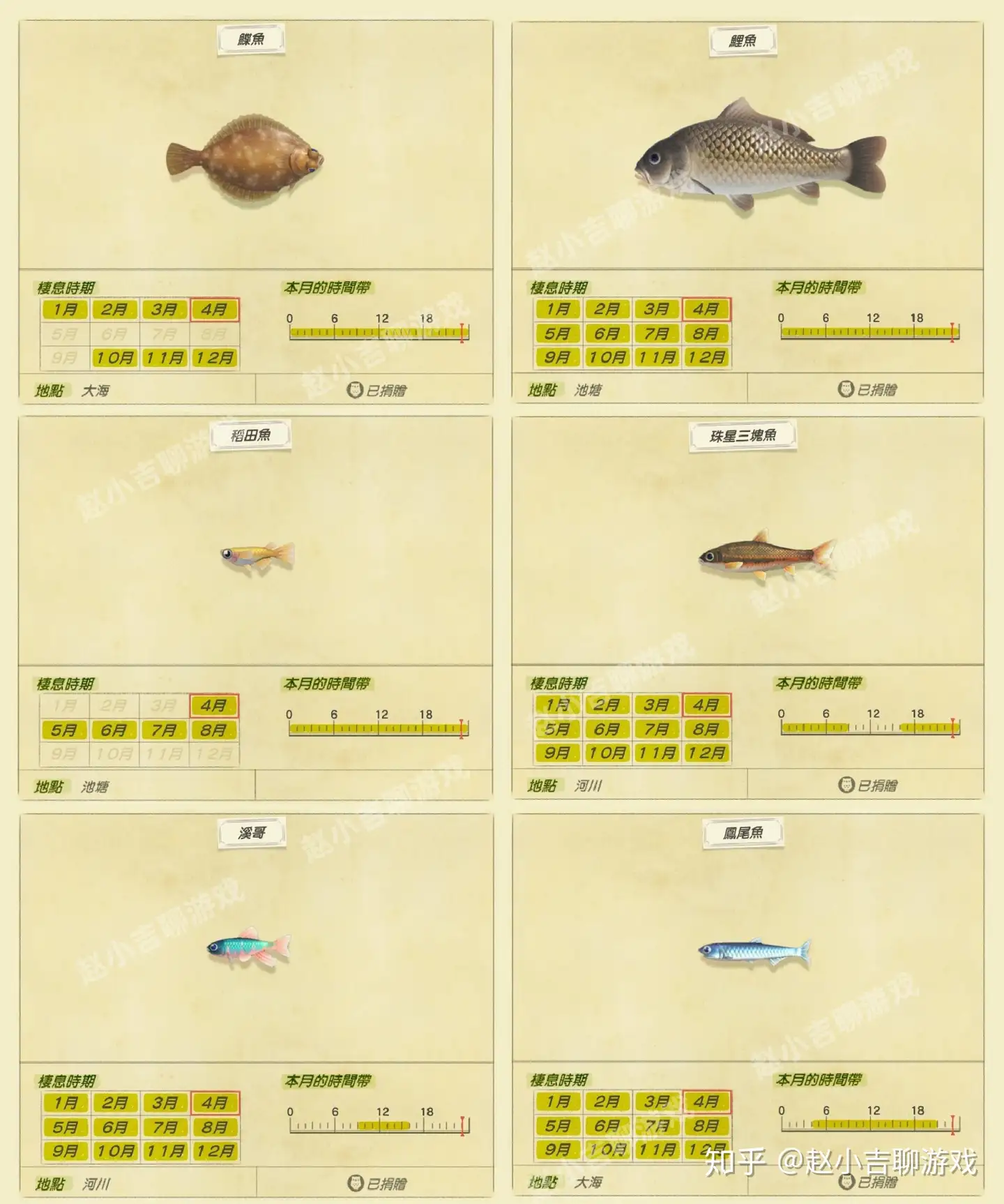 集合啦 动物森友会 5月鱼类图鉴 鬼头刀 本鱼很低调 知乎 集合啦 动物森友会 5月鱼类图鉴 鬼头刀 本鱼很低调 知乎