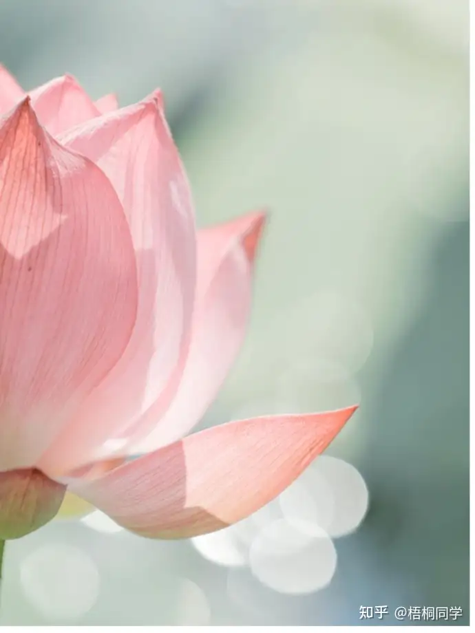 悟性高的人往往不太合群，更喜欢独处，这种性格特征背后的深层原因是什么？缩略图