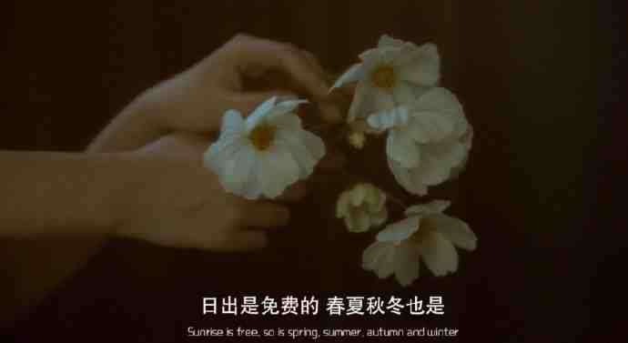 有哪些神仙句子让你记到现在的?插图38 有哪些神仙句子让你记到现在的?插图38