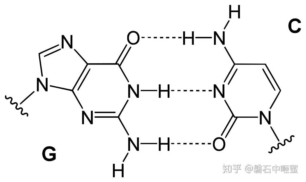 知乎专栏