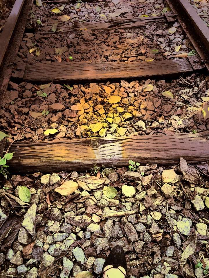 分享专插本 理科公共科7分 插本并不难 难的是你那颗不坚定的心 知乎