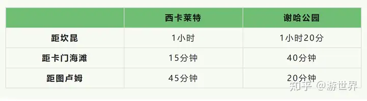 西卡莱特VS谢哈，哪个更好玩？这篇攻略可以完美解答 - 墨华网 (图8)