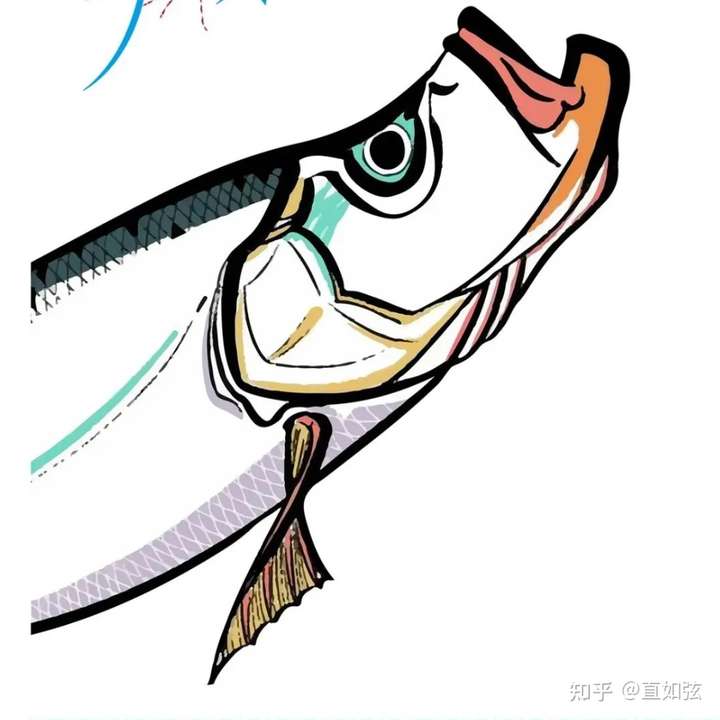 求大神指点,路亚翘嘴用多大的亮片?