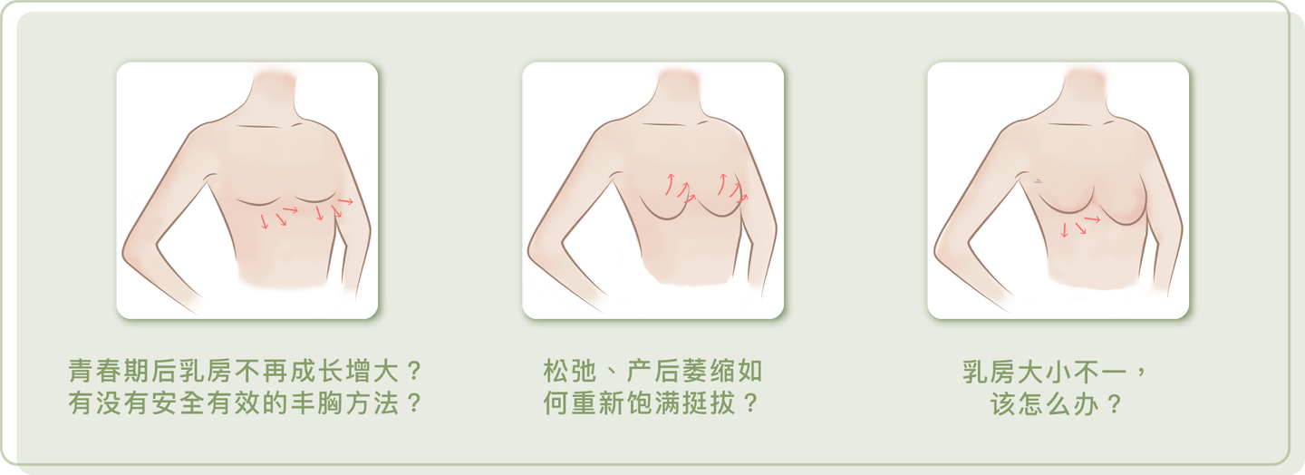 再生美胸知识讲堂 第九讲 决定女性乳房体积大或小的关键因素是什么 它起到了什么作用 知乎