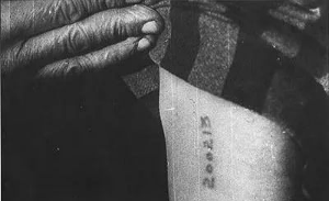 纳粹集中营囚犯的号码纹身。