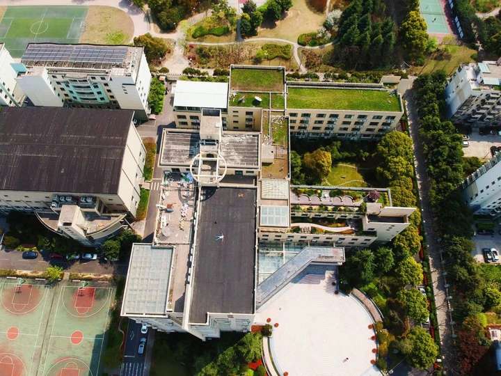 在上海市莘庄中学就读是怎样一种体验?