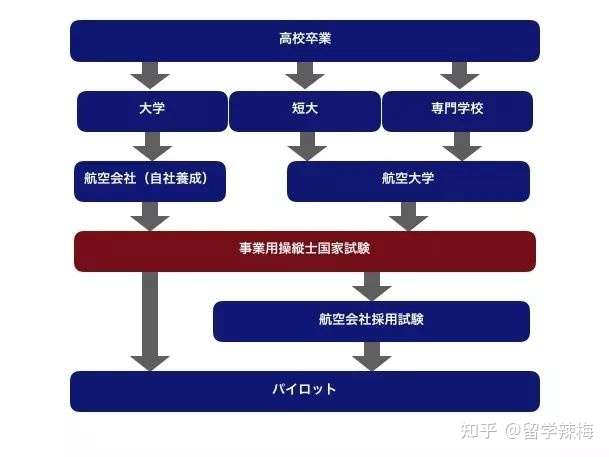 日本留学 哪些专业未来最 吃香 知乎