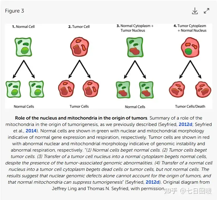 癌症代谢论和癌症基因论，哪一种理论更接近癌症起源真相？哪一个可能是攻破癌症的最佳理论？