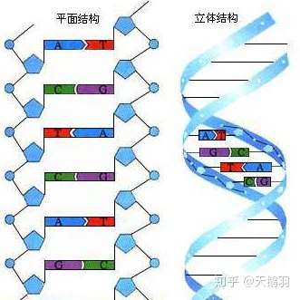 知乎专栏