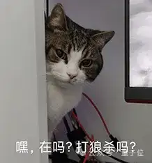 不走寻常路的淘天技术节：AI狼人杀、Poster路演、博见社轮番上阵