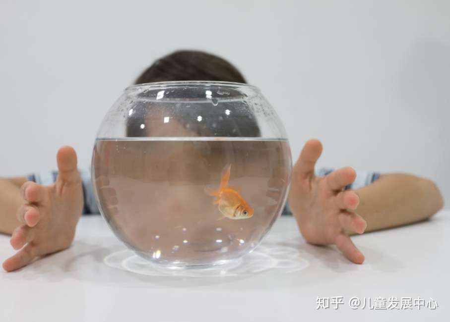 儿童轻微自闭症的十七个症状 自闭症的早期表现 知乎