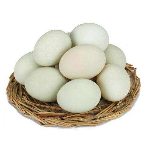 鸭蛋(duck's egg),又名鸭子,鸭卵,太平,鸭春,青皮等,为鸭科动物