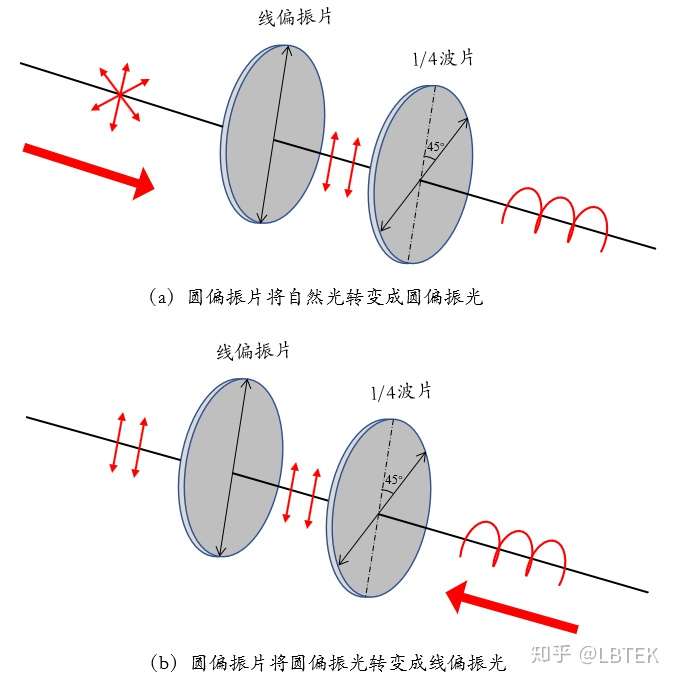 偏振片原理图图片