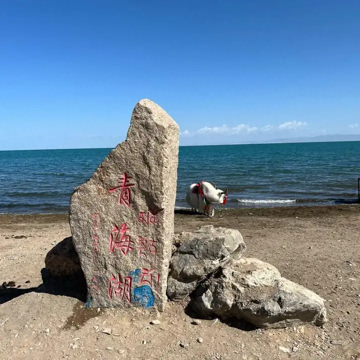 青海湖海拔高度多少（青海湖简介）