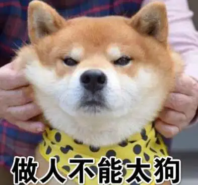 《奇葩说》第七季第十二期辩题「好不容易追到的真爱很怕狗,要不要把