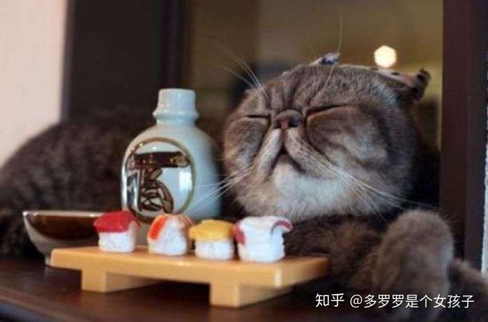 吃了解酒药,就能"千杯不醉"?你该知道真像了!