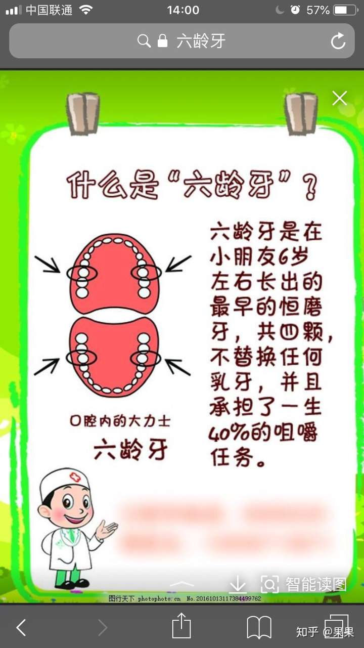 今天早上跟老婆爭辯半天,就是因為小孩的臼齒會不會換,我說我小時候就